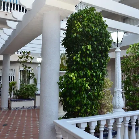 Apartamento Oslo Torrevieja